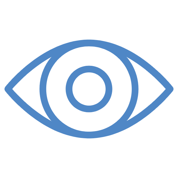 icon vision (1)